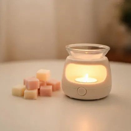 Wax melts and warmer